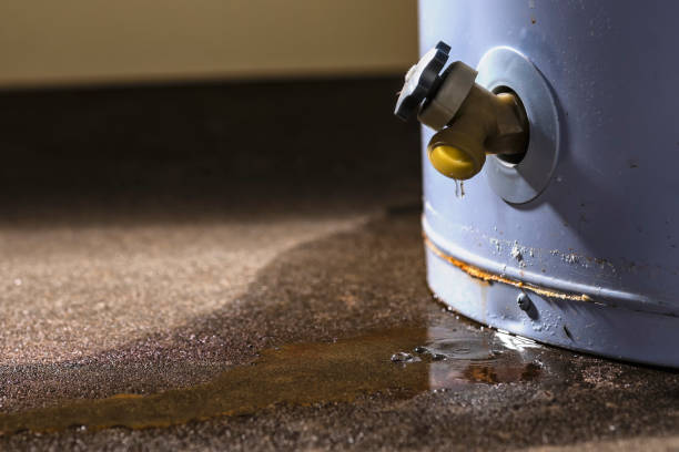 Water damage restoration mold remediation in Lake Sherwood, CA