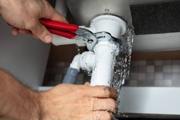 Best Fire Damage Restoration  in Lake Sherwood, CA