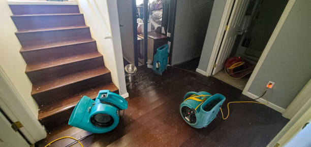 Best Water damage contractors near me  in Lake Sherwood, CA