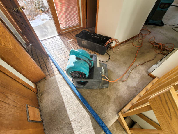 Lake Sherwood, CA Water damage restoration Company