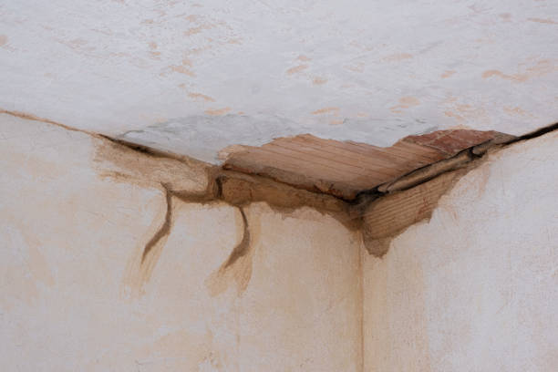 Best Water damage restoration near me  in Lake Sherwood, CA