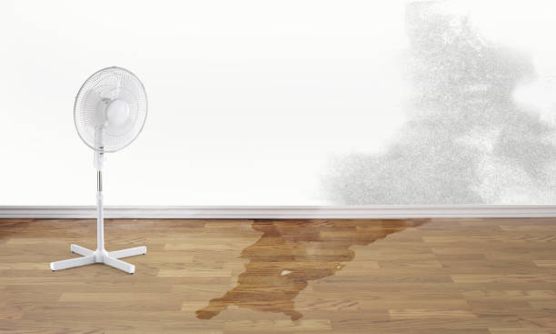 Best Water damage restoration cost  in Lake Sherwood, CA