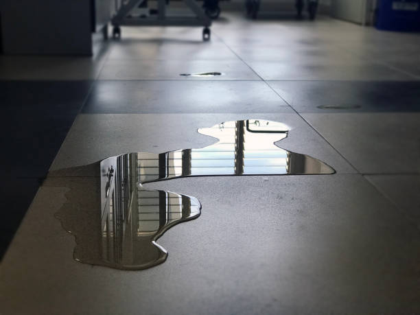 Best Water damage contractors near me  in Lake Sherwood, CA