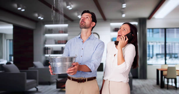 Best Professional water damage repair  in Lake Sherwood, CA